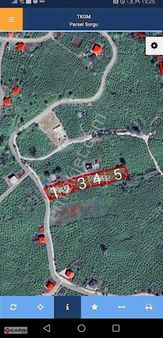 Trabzon Gözalanda Satılık Parsel