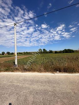 Tekirdağ Kapaklı Bahceagıl Tek Tapı Asvalt Cephe Tarla