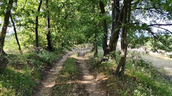 3.507 M2 Gönen Resmi Yolu Var Yatırımlık Bağ Bahçe Hobi Bahçesi