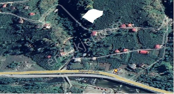 Premar Gayrimenkul Çaykara Koldere Mah. Satılık Fındıklık Arazi