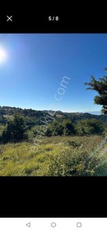 Bursa Yenişehir Kirazlıyayla'da 1300 M2 Tarla