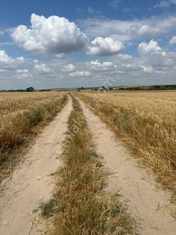 Tekidağ Saray Kurtdere Tek Tarladan Hisse 900 M