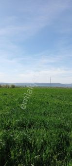 Çanakkale Merkez Kemel Köyünde Satılık Tarla!!!