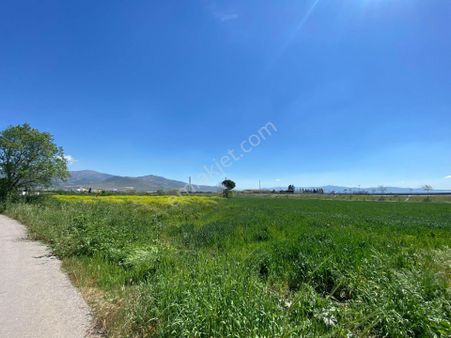 İzmir Menemen Foça Yolu Üzerinde Her Amaca Uygun Tarla