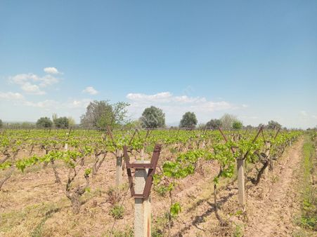 Manisa Ahmetli Seydiköy Mahallesi