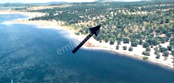 Ayvalık Cunda Denize Yakın Dalyan Mevki Zeytinlik