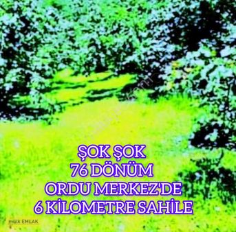 (41 ) Şok Şok 76 Dönüm Ordu Merkez'de 6 Kilometre Sahile 6 Kilometre 9