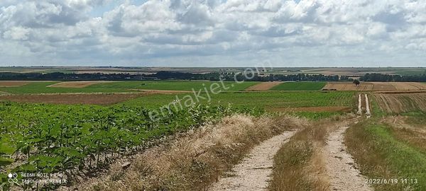 Saray Beyazköy'de 1674 M2 Satılık Tek Tapu
