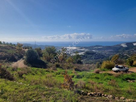 Aliefendi Mahallesinde Ful Deniz Manzaralı Satılık 4300 M2 Müstakil Tapu Tarla