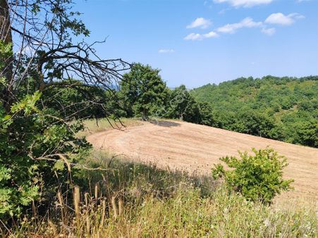 4.322 M2 Gönen Yatırımlık Tarla Bağ Bahçe Hobi Bahçesi Orman Var