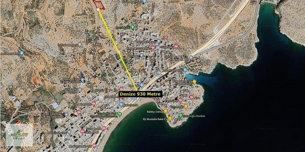 Susanoğlunda Denize Yakın Asfaltyola Sıfır 5.329 Metrekare Tarla