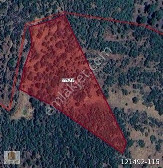 Mimaroba Çınar'dan Satılık Tarla