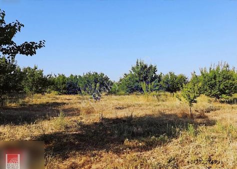 Bulunmaz Fırsat! Malatya Yeşilyurt Ta Sulu Kayısı Bahçesi