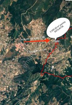 Kırıklar. Merkezde Satilik Zeytinlik