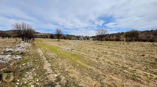 Erdem Emlak Tan Satılık Çiftlik Arazisi