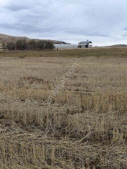 Istanaz Emlaktan Korkuteli Kozağacı Mah.satılık Tarla