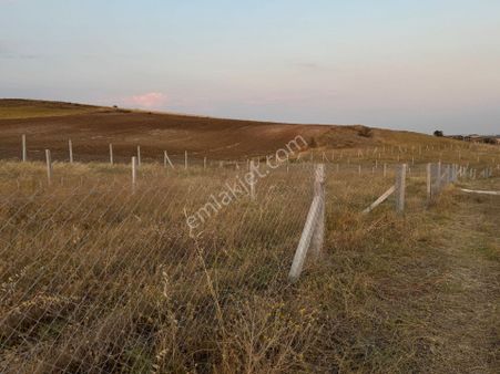 Bozüyük Poyra Mahallesin’de Satılık Hobi Bahçelerimiz Sizleri Bekliyor