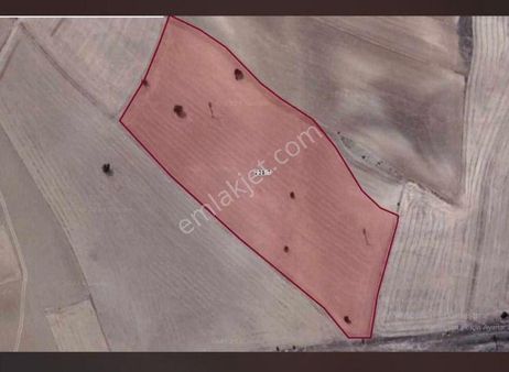 Bozüyük Poyra Mahallesin’de 300 M2 Satılık Hobi Bahçeleri Sizleri Bekliyor