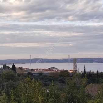 Kocaeli Karamürsel Kayacık Mahallesi Satılık Konut İmarlı Arsa 4639 M2