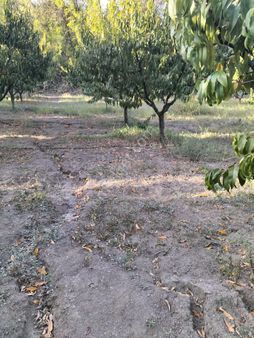 Kocaeli Karamürsel Avcıköy Satılık Tarla 3673 M2