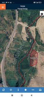 Elekgölü'nde 6.500m2 Harika Konumda Elma Bahçesi