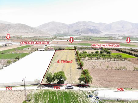 Elmalı Çobanisa Mahalle Merkezinde Elektrik, Yol, Su Problemi Olmayan 6.793m2 Satılık Ceviz Bahçesi