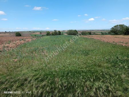 Hicret Emlaktan Tekirdağ Malkara Yaylagone Mah Satılık Tarla