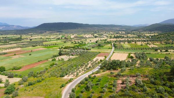 Milas Çamovalıda Doğa Manzaralı 8384 M² Konut İmarlı Arsa