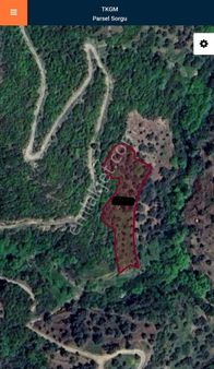 Tire Tuğra Emlak Güvencesiyle Satılık Zeytinlik