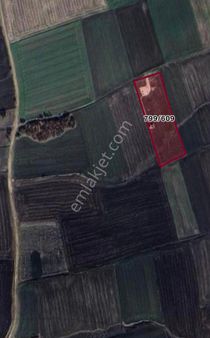 Satılık Meyve Bahçesi