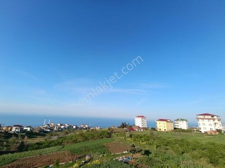 Abdi Bostan Gayrimenkul'den Akçaabat Yaylacık Mah Satılık Arsa