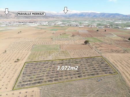Elmalı Bozhüyük Mahalle Merkezine Ve Antalya Anayoluna Yakın Mesafede 3.072m2 Satılık Üzüm Bağı