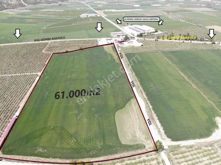 Antalya Elmalı Beyler Mahalle Merkezinde Yola Cephe 61.000m2 Satılık Tarla