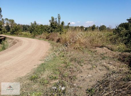 13700 M2 Elektrik Suya Yakın Resmi Yolu Mevcut Satılık Arazi