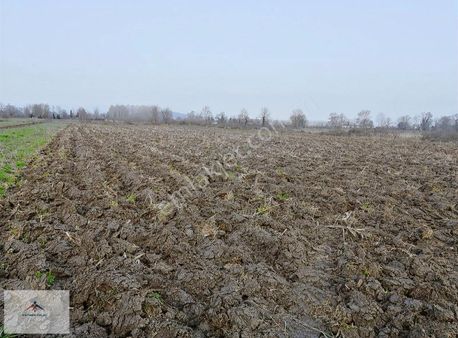 Elektrik Suya Yakın Resmi Yolu Olan Satılık Arazi