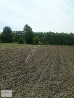 Ana Yola Yakın Resmi Yolu Mevcut Satılık Arazi