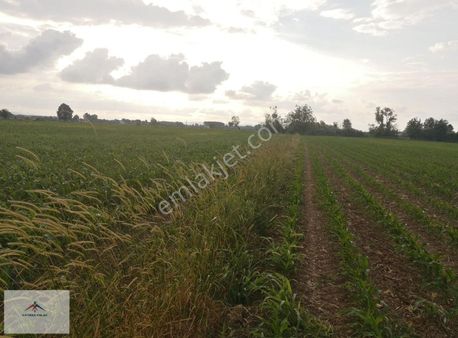 Ana Yola 2ci Parsel Resmi Yolu Var Satılık Tarla