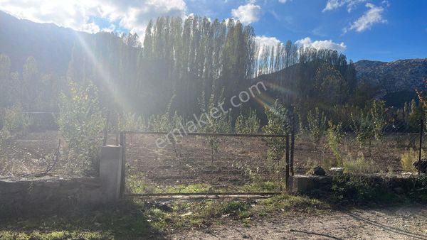 Asya Evim Gayrimenkulden Satılık Ayva Bahçesi