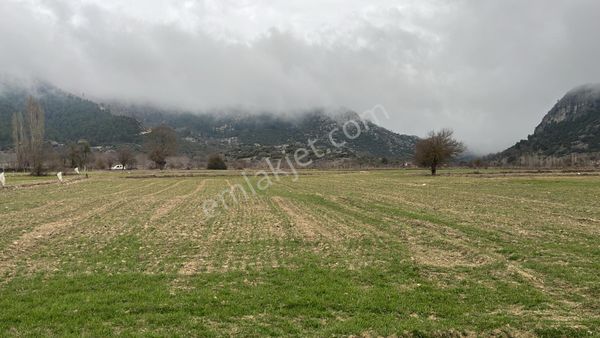 Asya Evim Gayrimenkulden Hisarköy De Satılık Arazi