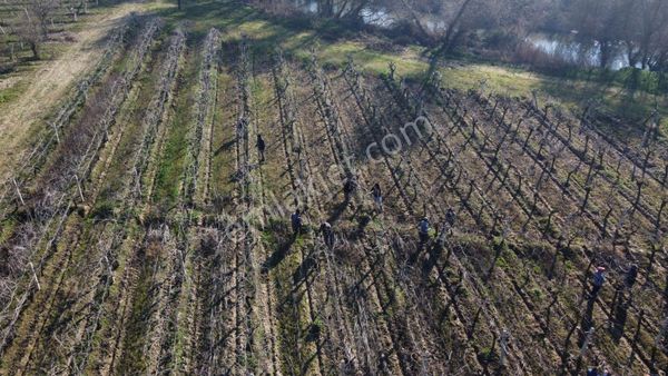 Salihli Karayahsi Mah Satílik Ba&