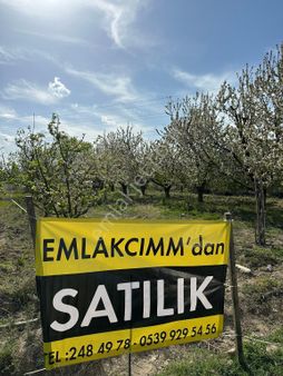 Isparta Merkez Kuleönü Kelepir Satılık Meyve Bahçesi