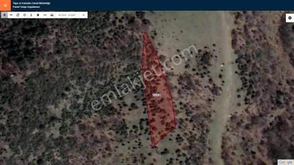 Başkan Emlaktan Satılık Pazaryeri Demirköy'de 2,202 M2 Tarla