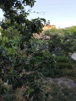 Tatköy De Satılık 4+1 Müstakil Ev