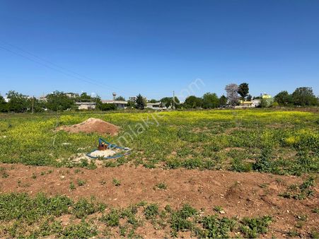 Kılıç Group Gayrimenkul Mehmet Kılıç’dan Satılık Tarla