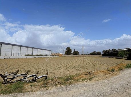 Pek Emlaktan Yeni Mah Kutsan Yanı 7505m2depo İmarlı Satılk Arsa