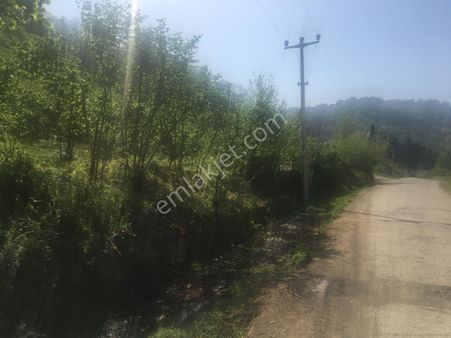 Harika Konumda Deniz Manzaralı Arazi