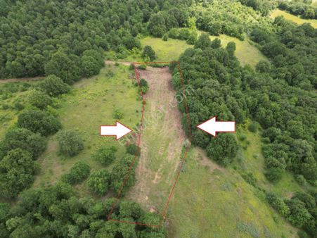 Yalova Altınova Fevziye Mahallesi Satılık Tarla 2487 M2