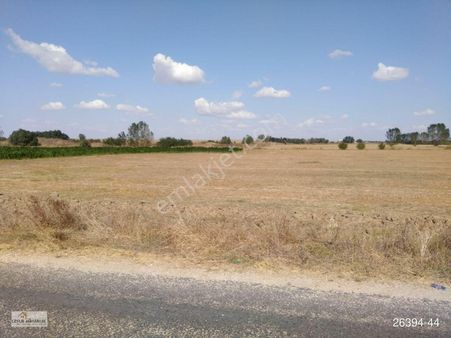 Tekirdağ - Marmara Ereğlisi - Yakuplu'da Satılık 8.5dönüm Tarla