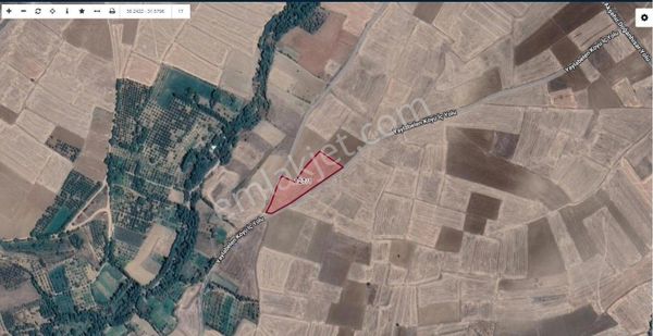 Akşehir / Yaylabelen'de Satılık Tarla