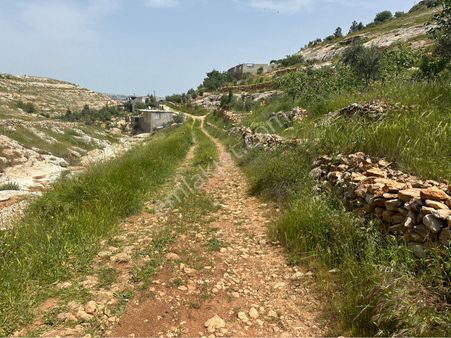 Kılıç Group Gayrimenkul Mehmet Kılıç’dan Satılık Daire